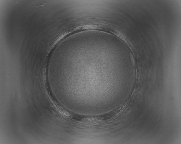 X0000054390297200507291151