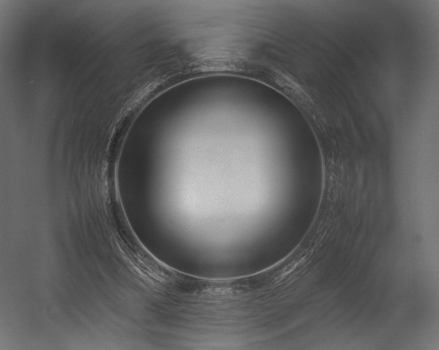 X0000054390298200507291151
