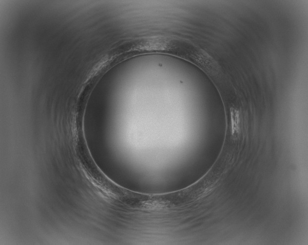 X0000054390300200507291151