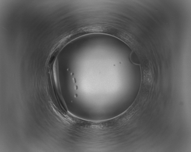 X0000054390302200507291151