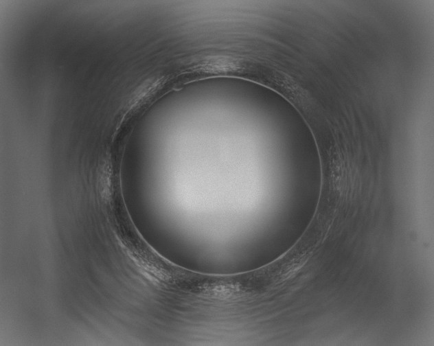 X0000054390304200507291151