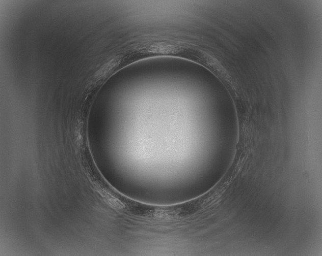 X0000054390305200507291151