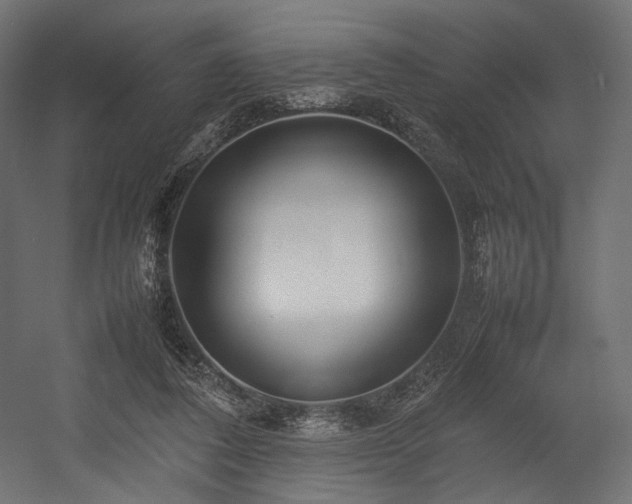 X0000054390308200507291150