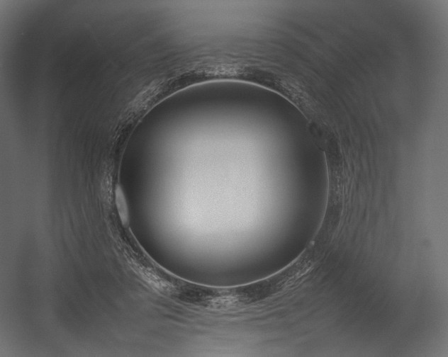 X0000054390309200507291150