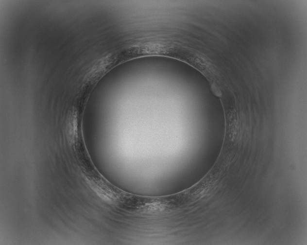 X0000054390310200507291150