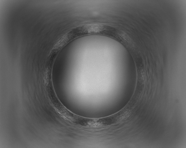 X0000054390311200507291150
