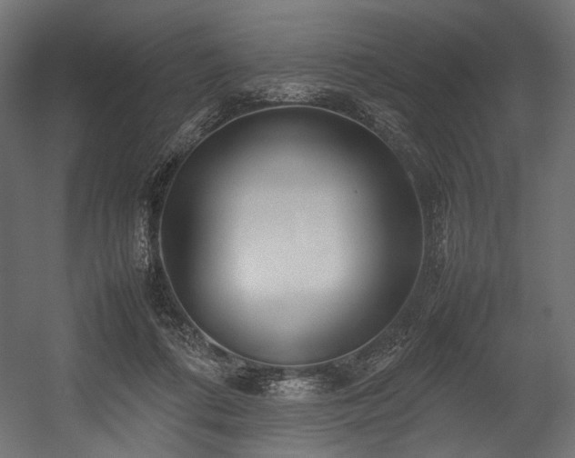 X0000054390312200507291150