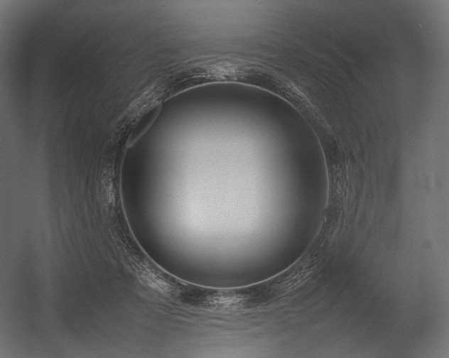 X0000054390313200507291150
