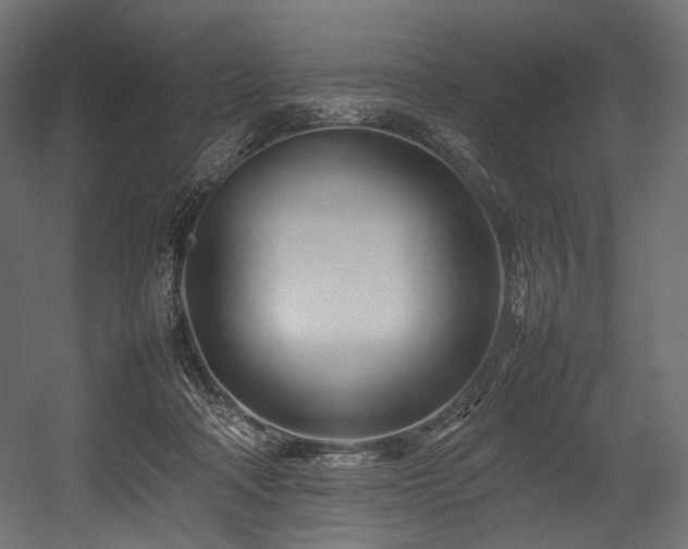 X0000054390314200507291150