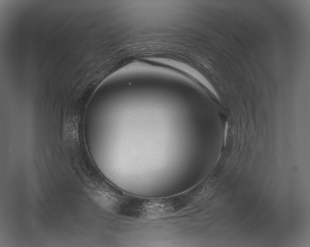 X0000054390315200507291150