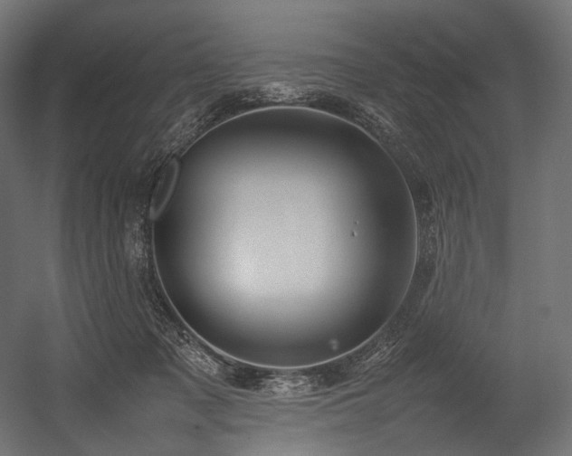 X0000054390317200507291150