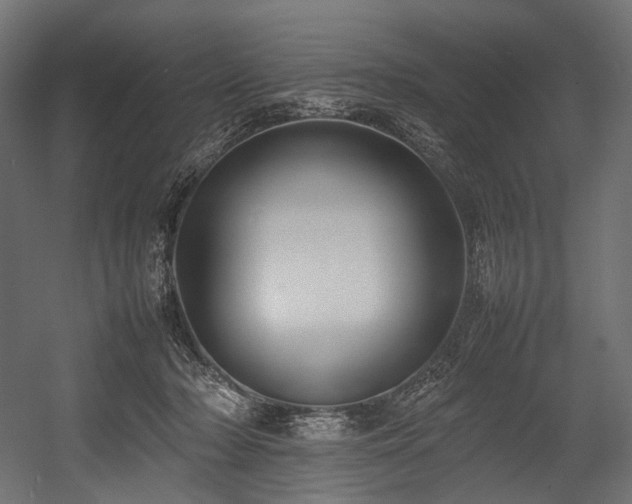 X0000054390318200507291150