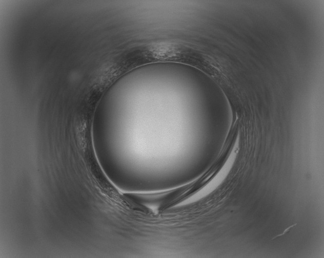 X0000054390319200507291150