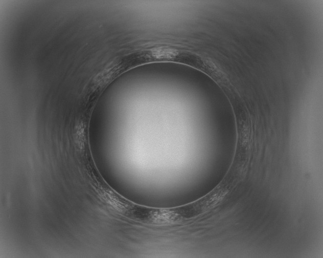 X0000054390321200507291150