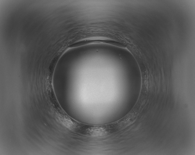 X0000054390322200507291150