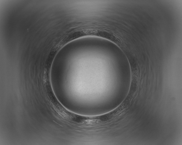 X0000054390323200507291150