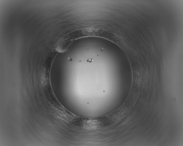 X0000054390324200507291150
