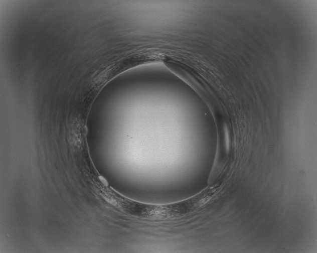 X0000054390325200507291150