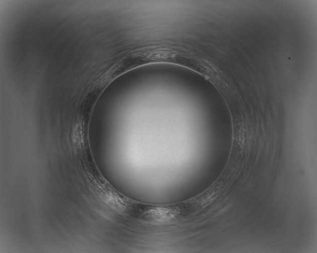 X0000054390326200507291150