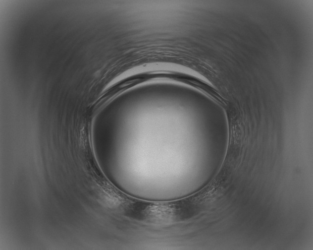X0000054390327200507291150