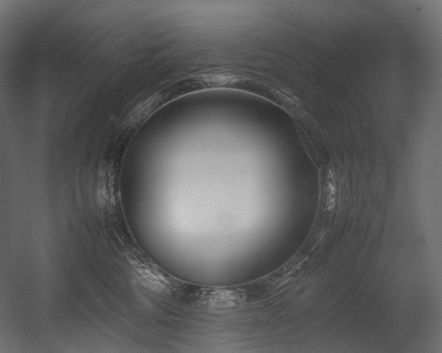 X0000054390330200507291150