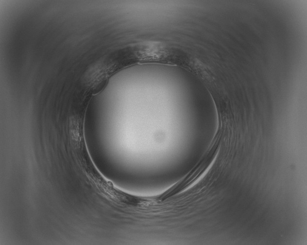 X0000054390331200507291150