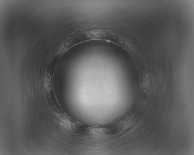 X0000054390332200507291150