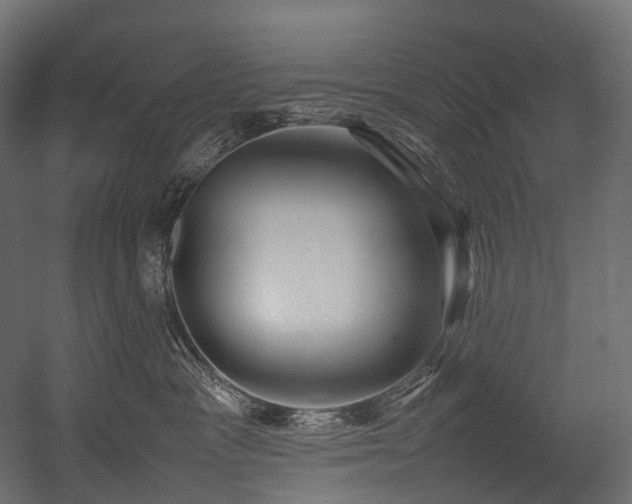 X0000054390333200507291150