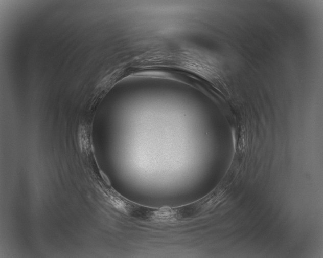 X0000054390335200507291150