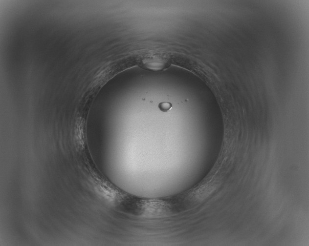 X0000054390336200507291150
