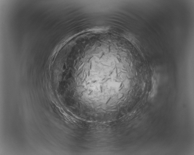 X0000054390337200507291149