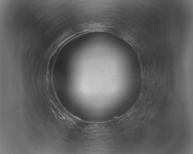 X0000054390338200507291149
