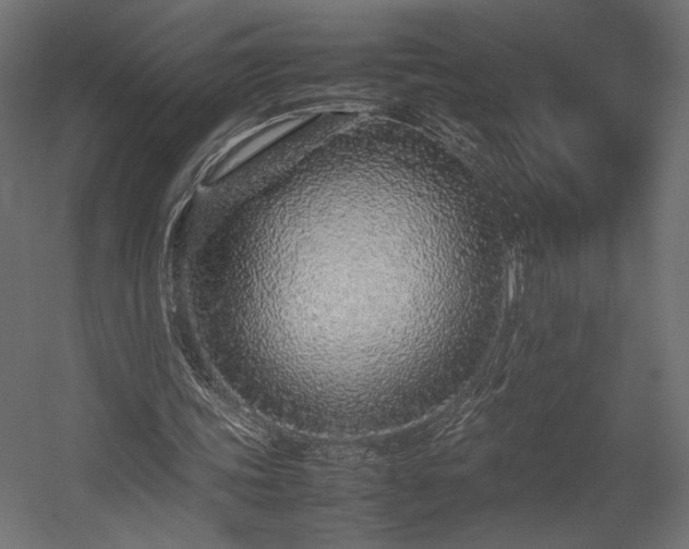 X0000054390339200507291149