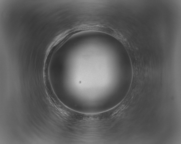 X0000054390340200507291149
