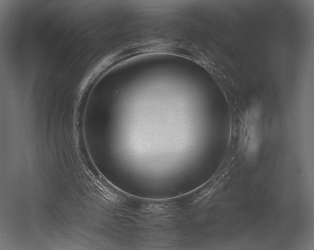 X0000054390341200507291149