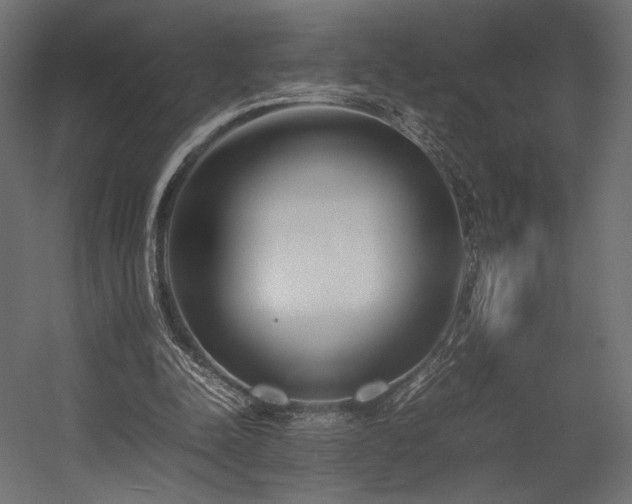 X0000054390342200507291149