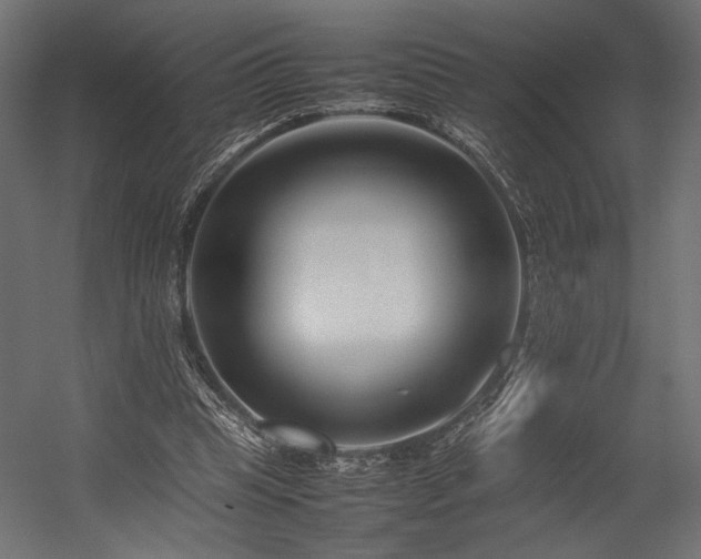 X0000054390345200507291149