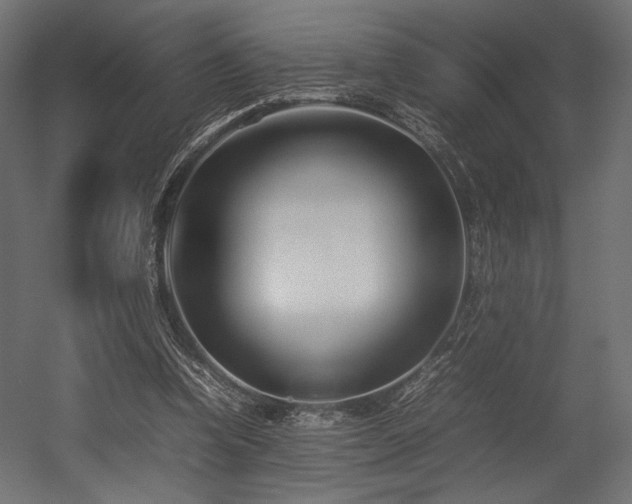X0000054390346200507291149