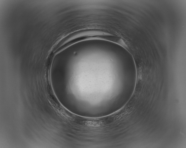 X0000054390347200507291149