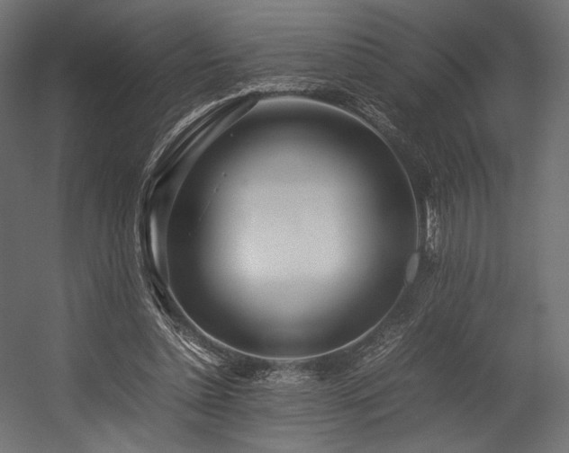 X0000054390348200507291149