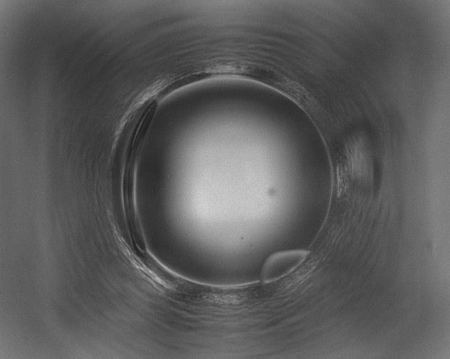 X0000054390349200507291149
