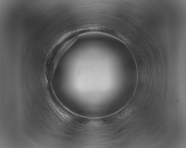 X0000054390350200507291149