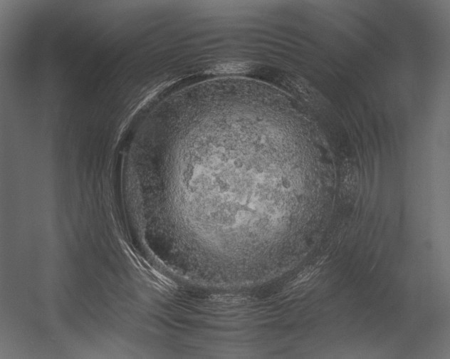 X0000054390351200507291149