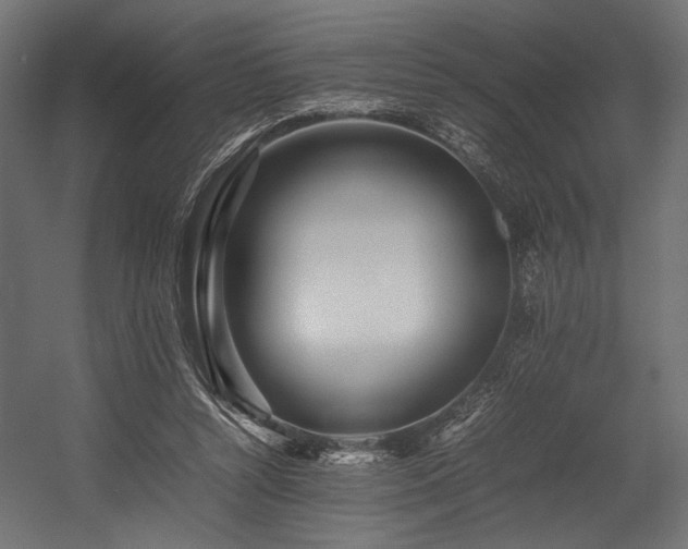 X0000054390352200507291149