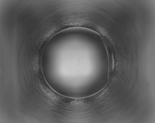 X0000054390354200507291149