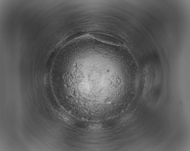 X0000054390355200507291149