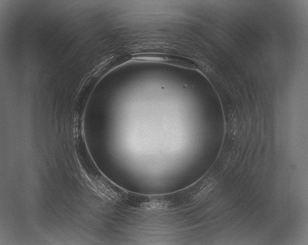 X0000054390356200507291150