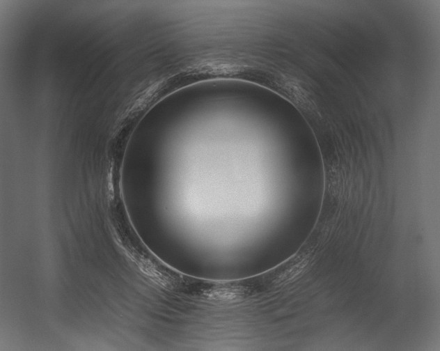 X0000054390358200507291150