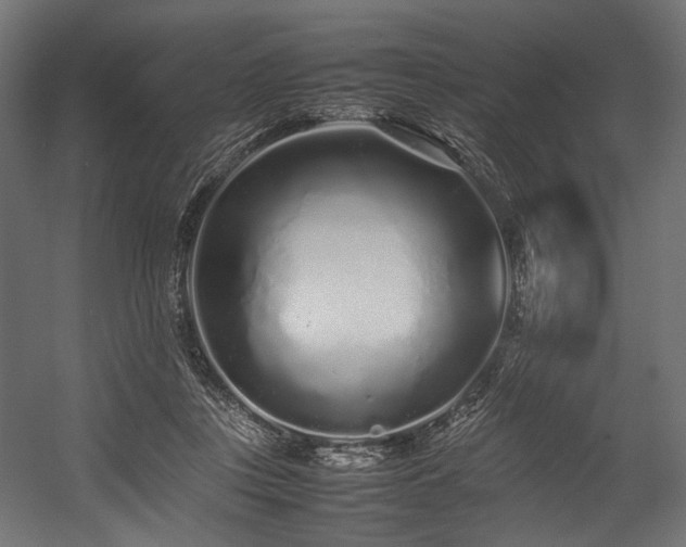 X0000054390359200507291150