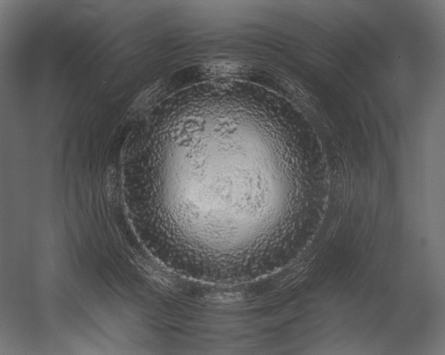 X0000054390361200507291150